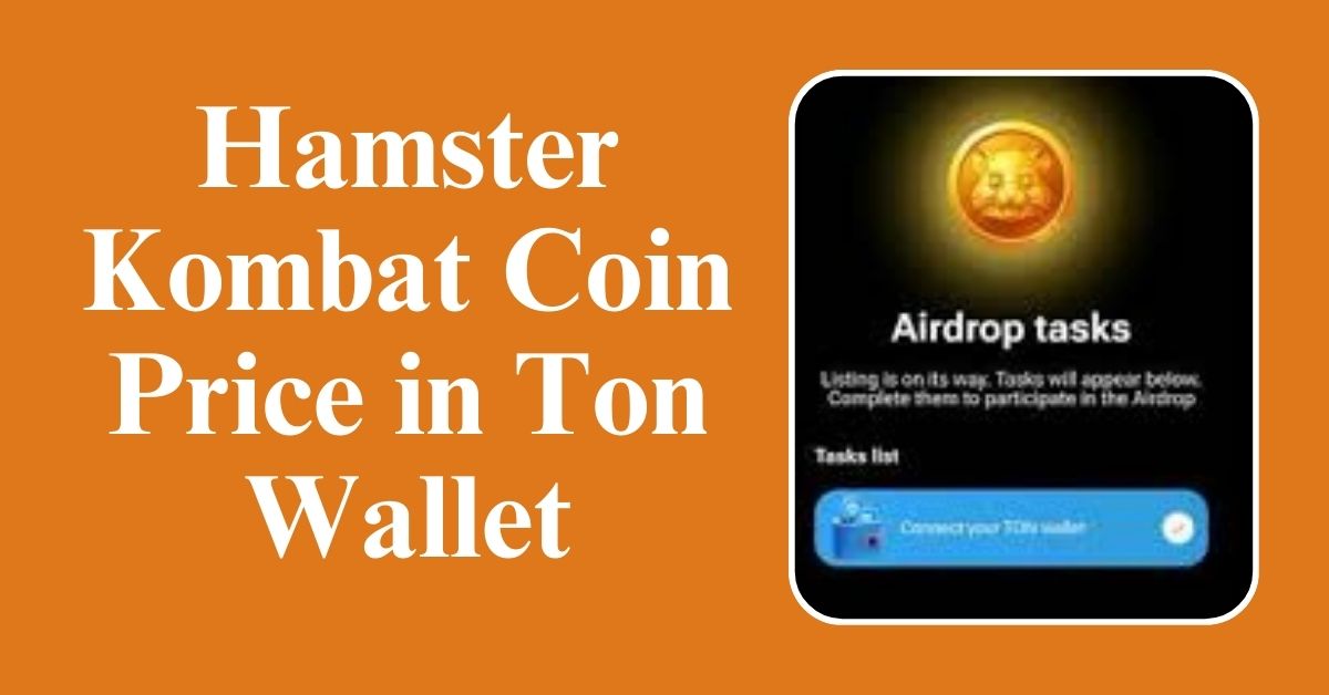 Hamster Kombat Coin Price in Ton Wallet