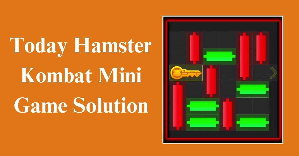 How Much is the Hamster Kombat Coin in USD?